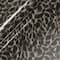 Siser® EasyPatterns® Plus Tortoise Shell Heat Transfer Vinyl